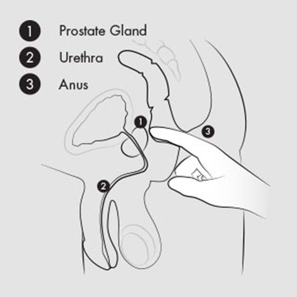 Aneros Progasm Classic Prostaat Stimulator