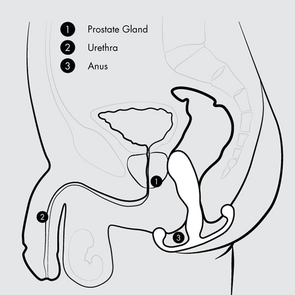 Aneros Helix Syn V Prostaat Vibrator