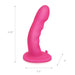 Pegasus Voorbind Dildo Met Harnas Roos 15 Cm